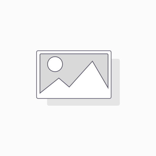 DYN Video 4K